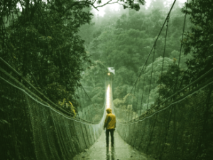 Akashic Navigator Basic (Self study online)